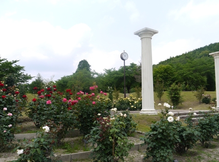 a植物園 013バラ園.jpg