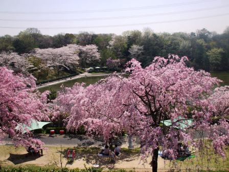 090410東谷山 釣池1.jpg