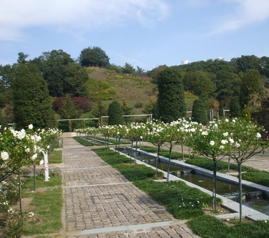 青庭3ホロ 全4.jpg