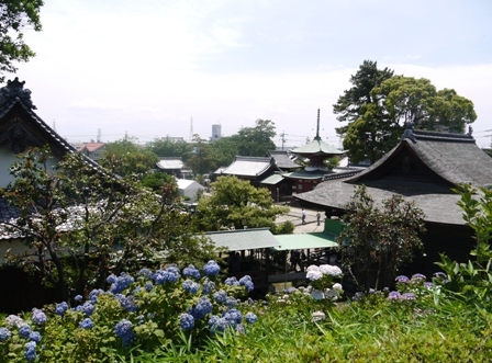 a性海寺 7山頂.jpg