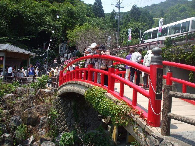 090617あじさいの里 004.jpg