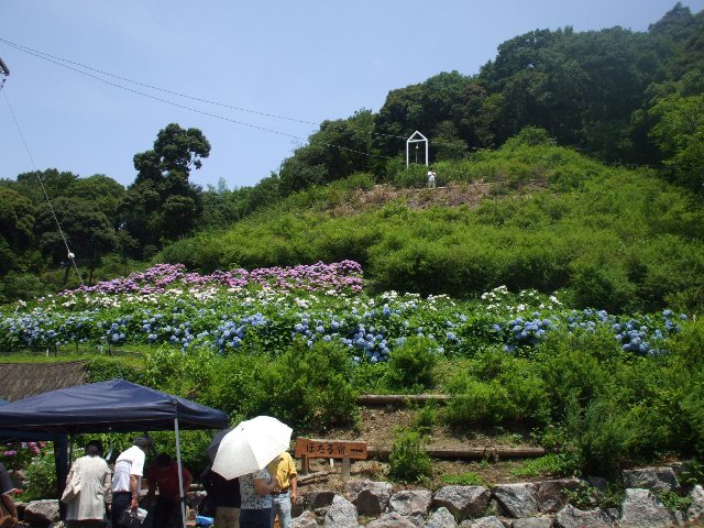 090617あじさいの里 005.jpg