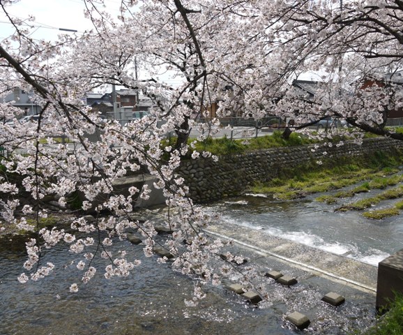 1五条川 062堰.jpg