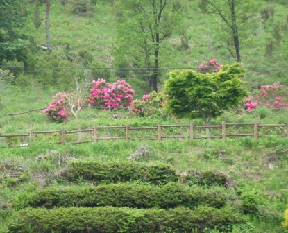 0モンゴル村 05.jpg