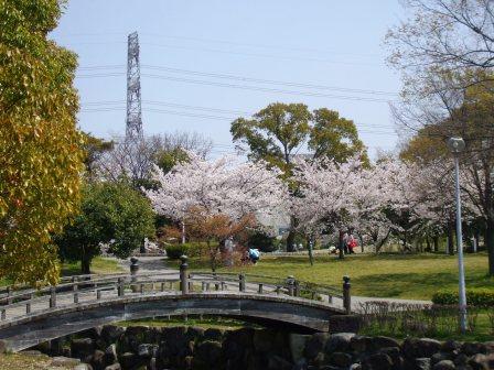 090407落合公園桜 021.jpg