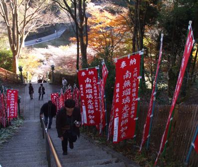 15四季桜 007 42.jpg