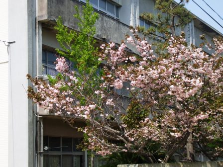09041925小学校２.jpg