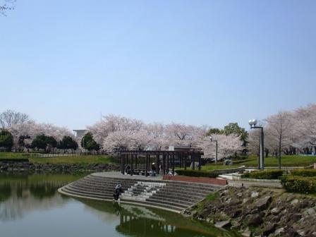 090407落合公園桜 022.jpg