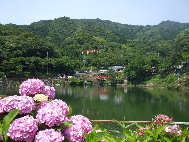 090617あじさいの里 009.jpg