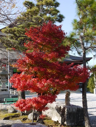 祖父江善光寺 04.jpg