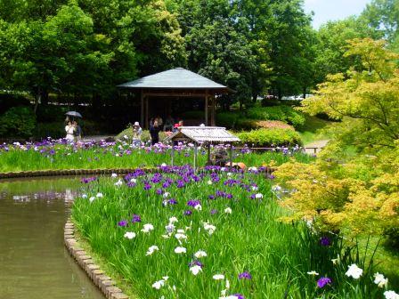 090606植物園 002.jpg