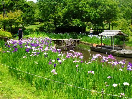 090606植物園 003.jpg