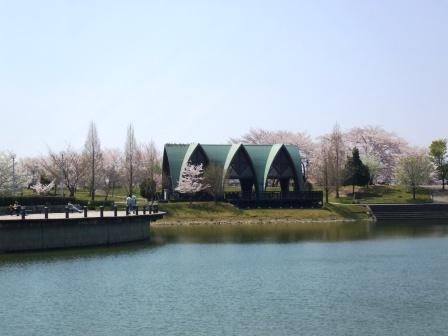 090407落合公園桜 029.jpg