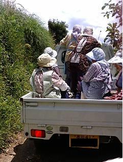 軽トラに・・・