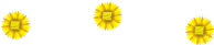sunflower_linemini01