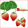 strawberry
