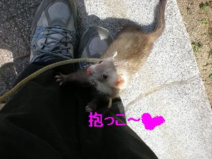 抱っこ