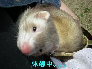 だっこ