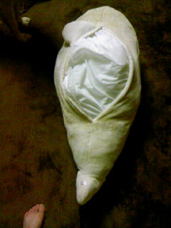 111107_1803~01 (1).JPG