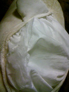 111107_1803~02 (1).JPG