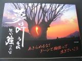 IMG_2281_1.jpg