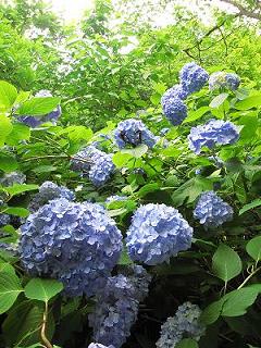 2009_0615画像 019.jpg