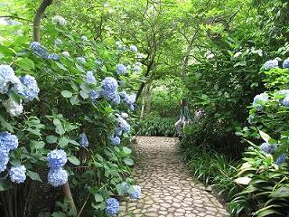 2009_0615画像 040.jpg