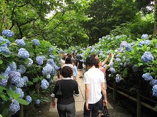 2009_0615画像 053.jpg