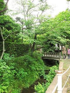 2009_0615画像 008.jpg