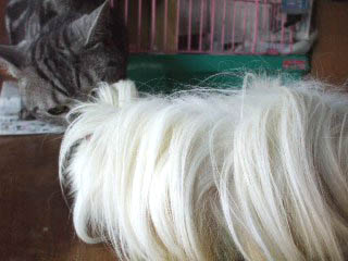 DSCF01441.JPG
