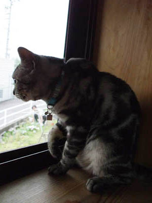 DSCF0150.jpg