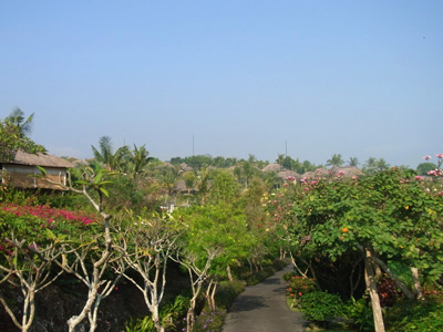RIMG0070.jpg