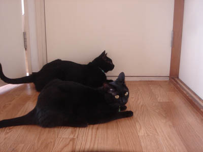 DSC02733.jpg