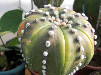 PICT0001.JPG