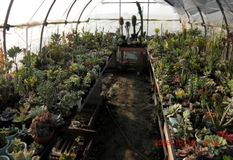 パイプハウス　２