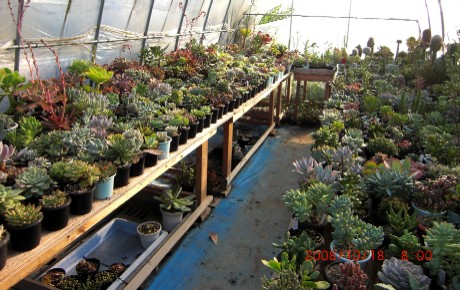 パイプハウス　３