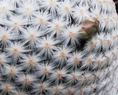 002 - コピー (2).jpg