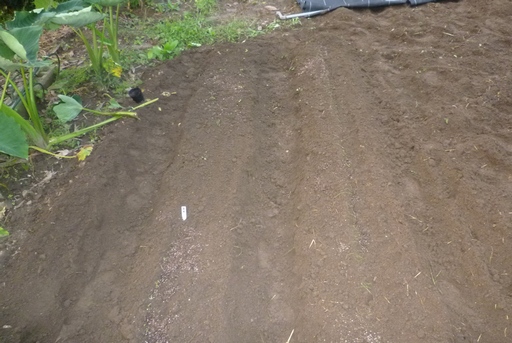 20101002?5.jpg