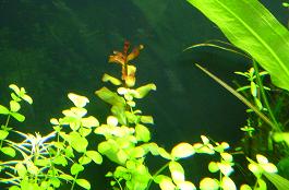 1129_03.JPG