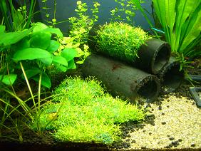 1115_03.JPG