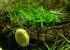 1205_01.JPG