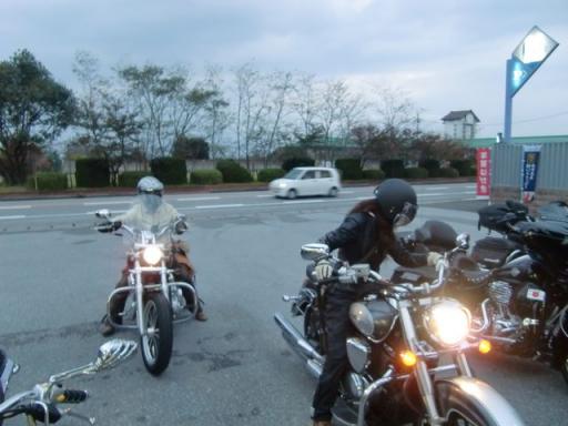 34002371_1409371925_59large[1].jpg