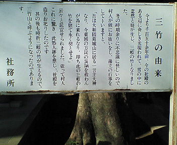 三竹山2