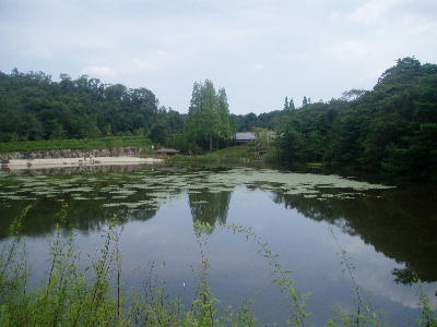 nagakute-39