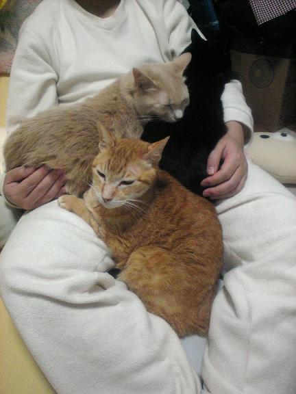 幸せは重い　その２