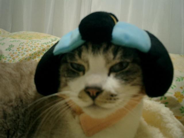 りょう（ヅラ ）