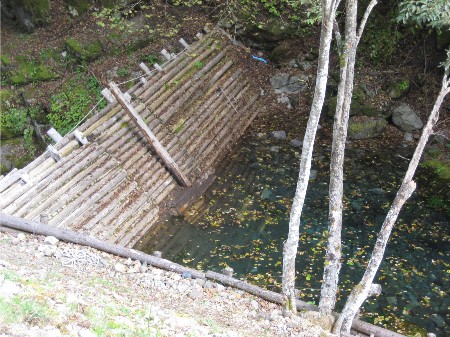 堰貯水