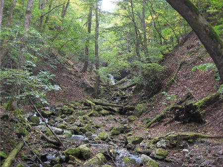 大山沢入り口