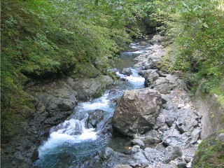 nakatugawakeikoku