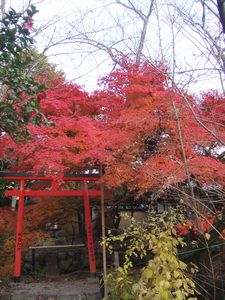 新薬師寺